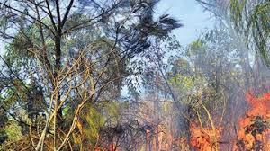 forestfireclaims5livesinuttarakhand